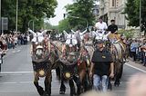 altenburg-trachtenfest-03-06-2012 (318)